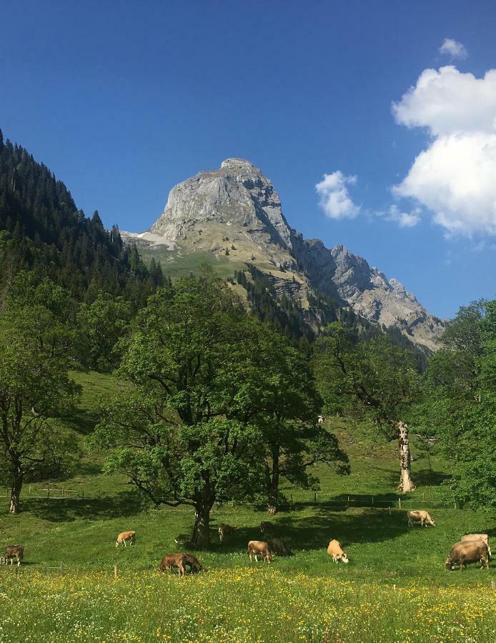 Hotel Gasthaus Glarus Klontal